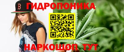 МДПВ Будённовск