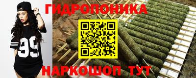 МДПВ Будённовск