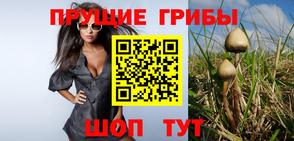 Сосновоборск  Галлюциногенные грибы прущие грибы  Вход с VPN  Псилоцибиновые грибы Cubensis 